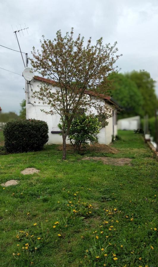 Maison studio individuelle fraichement rénovée Paray-le-Frésil Esterno foto